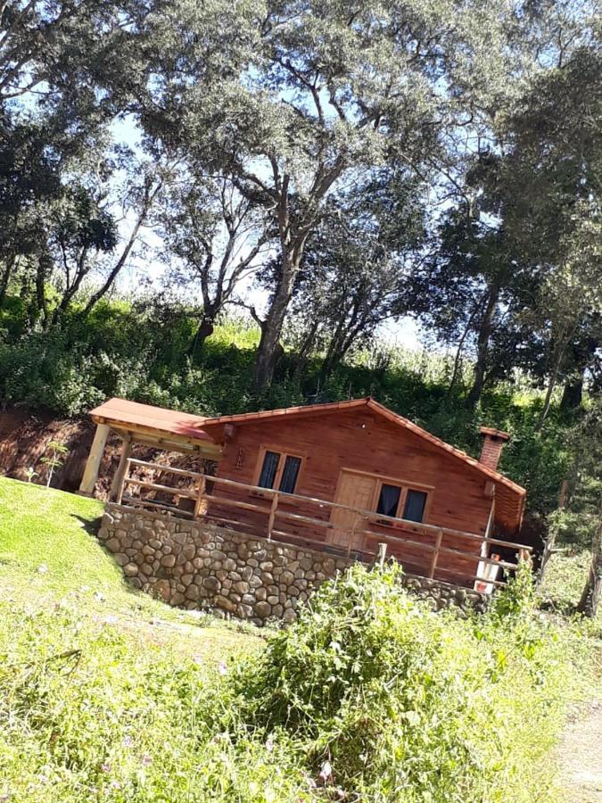 Cabanas Los Girasoles Mazamitla Bagian luar foto
